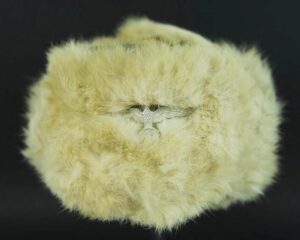 WH/ Gorro de Invierno de 1942