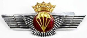 Rokiski de Alas de Aviación de Paracaidista