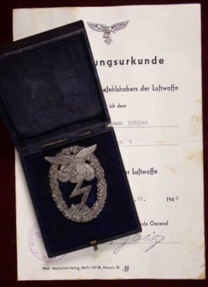 Conjunto de Luftwaffe de Lucha en Tierra