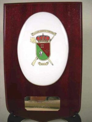 Metopa de la Jefatura Logística de Murcia