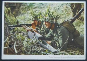 Tercer Reich/ Postal de Propaganda