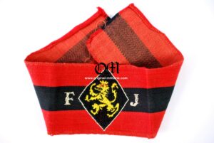 Falange/ Youth Front Armband. Lion in Yellow
