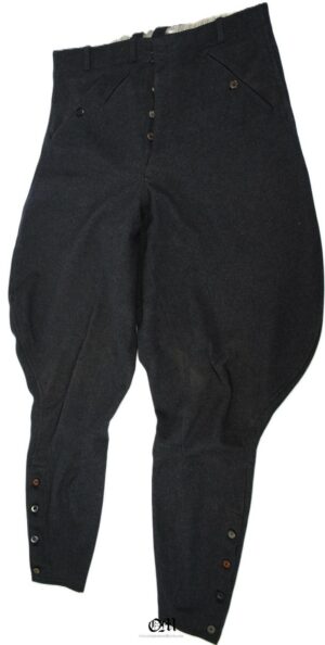 Luftwaffe Officer´s Breeches. Private Purchase. Great Size.